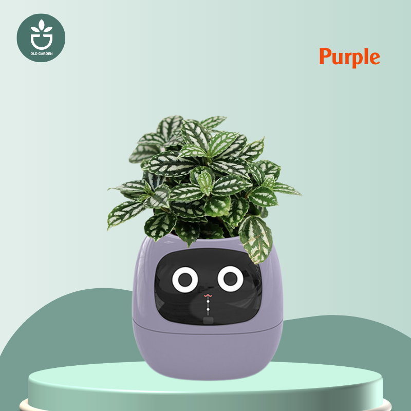 robot pot plant A New smart home IVY plant pet robot Purple