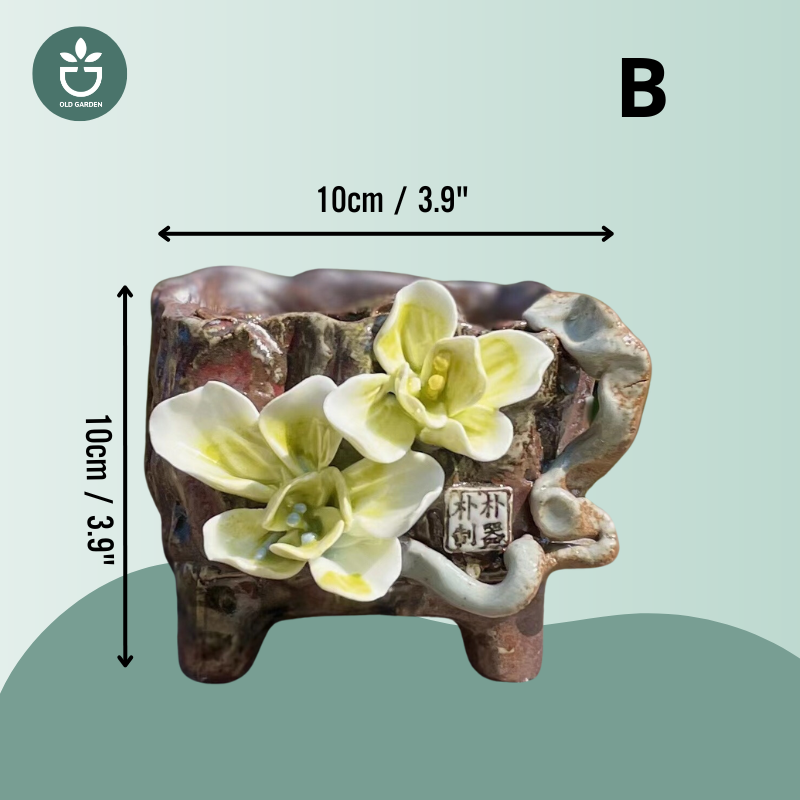 Retro succulent pot with Flower pattern