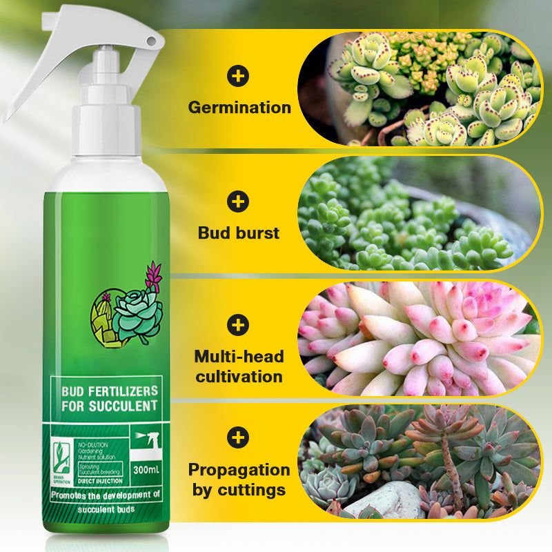 Bud Fertilizers Succulents