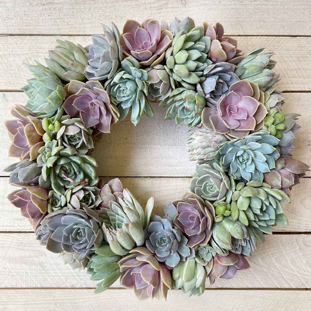 Caroline Succulent Bouquet