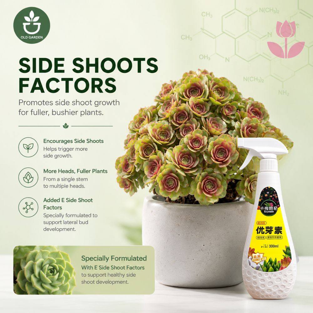 Sprouts Booster 300ml