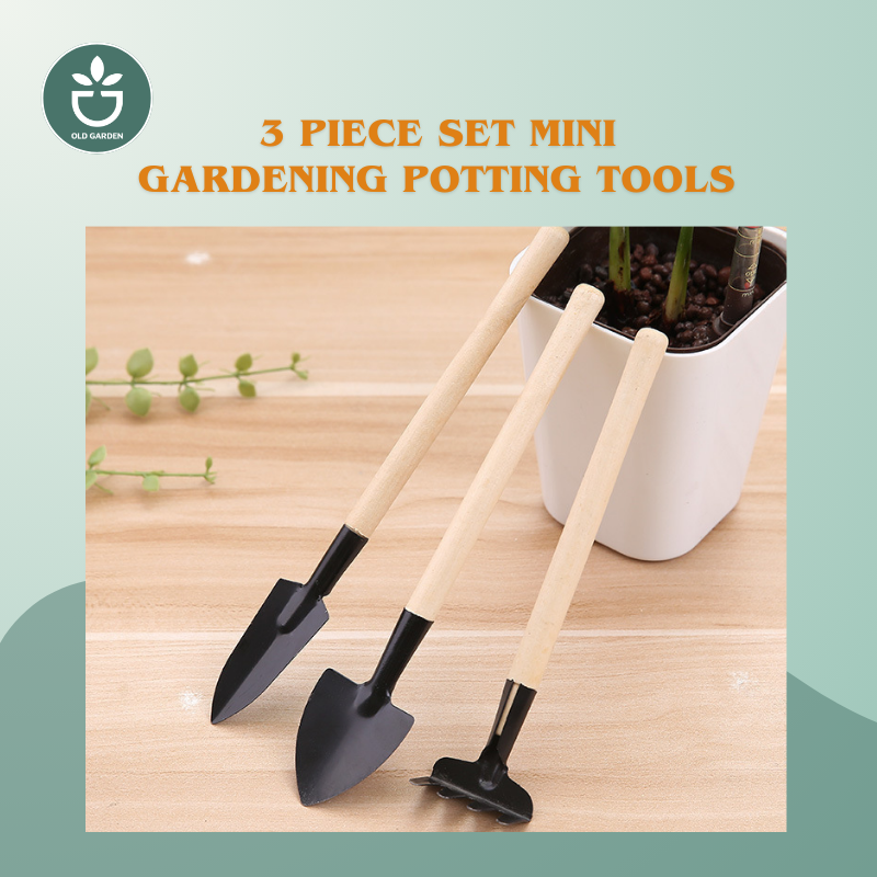 3 Piece Set Mini Gardening Potting Tools Wooden Handle