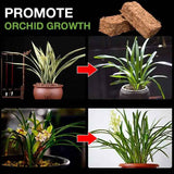 Orchid specific small coconut shell brick nutrient soil Coarse Grain Coconut Brick For Garden Vegetable Green Natural