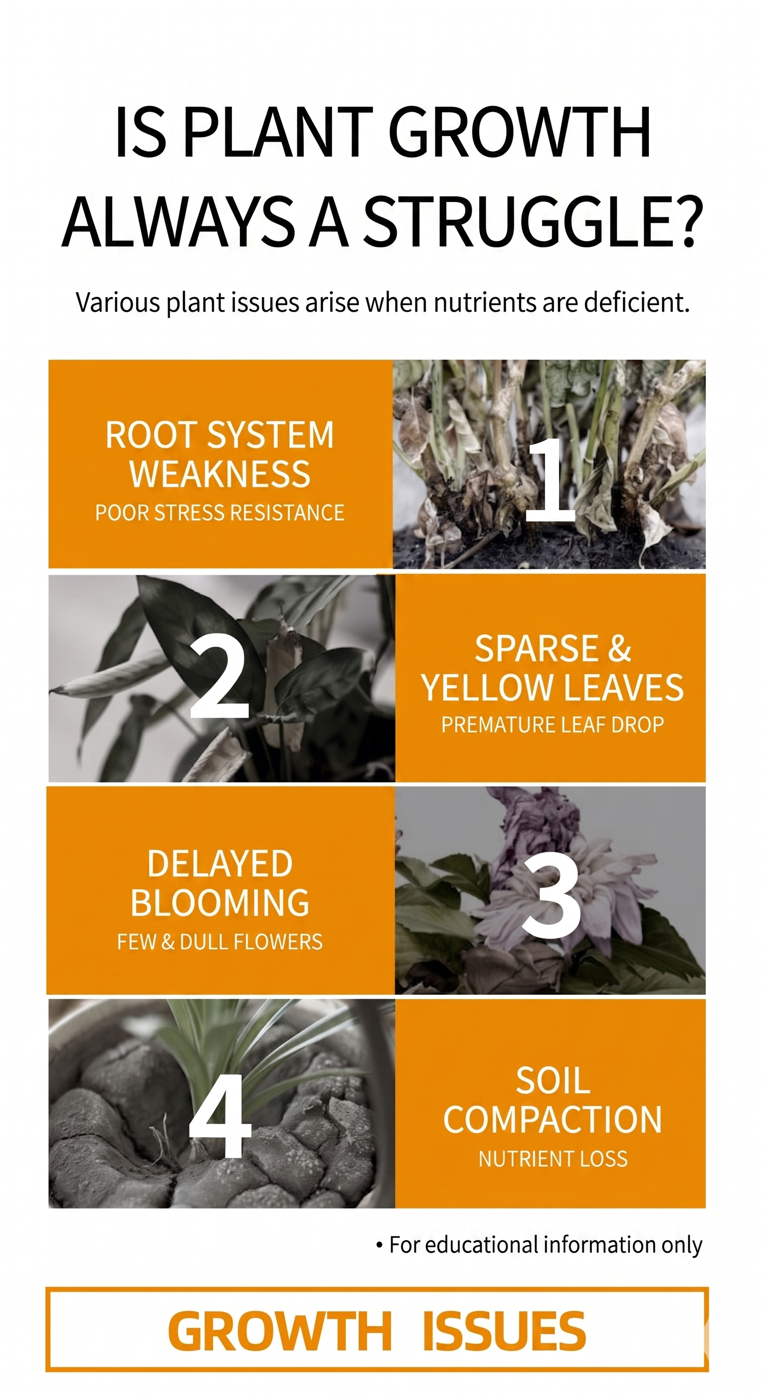 10-in-1 All Purpose Fertilizer