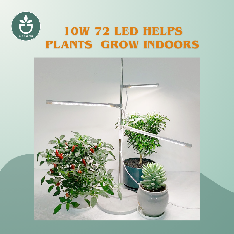 10W 72 LED helps plants grow indoors.