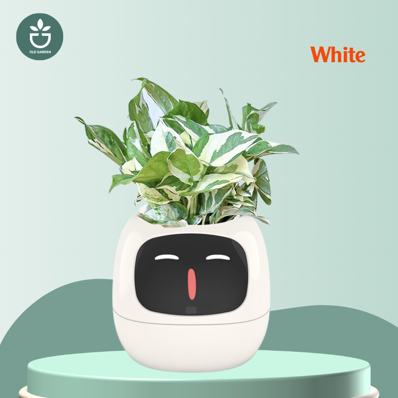 robot pot plant A New smart home IVY plant pet robot White