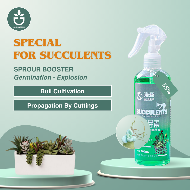 Bud Fertilizers Succulents