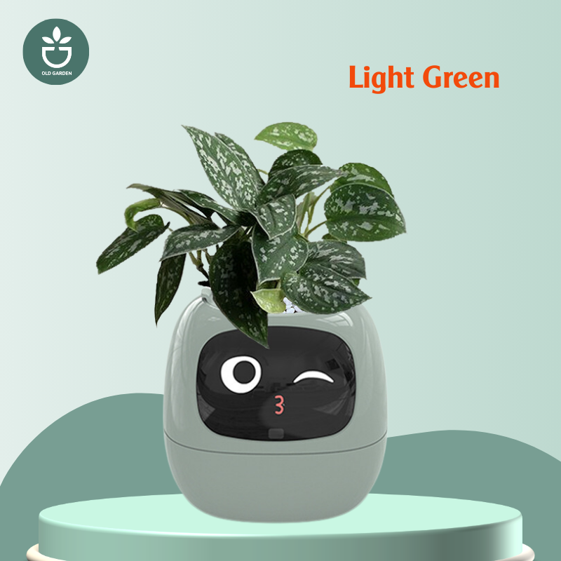 plant pot robot A New smart home IVY plant pet robot Green