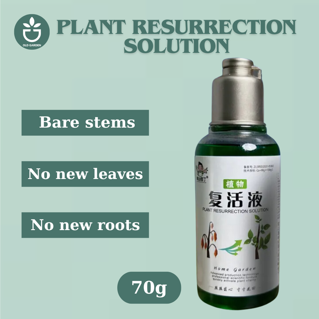 Plant Resurrection Solution