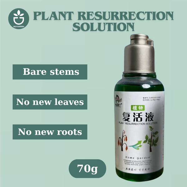 the plant solution Plant Resurrection Solution
