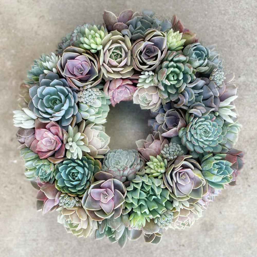 succulent plant bouquet Caroline Succulent Bouquet 11 inch