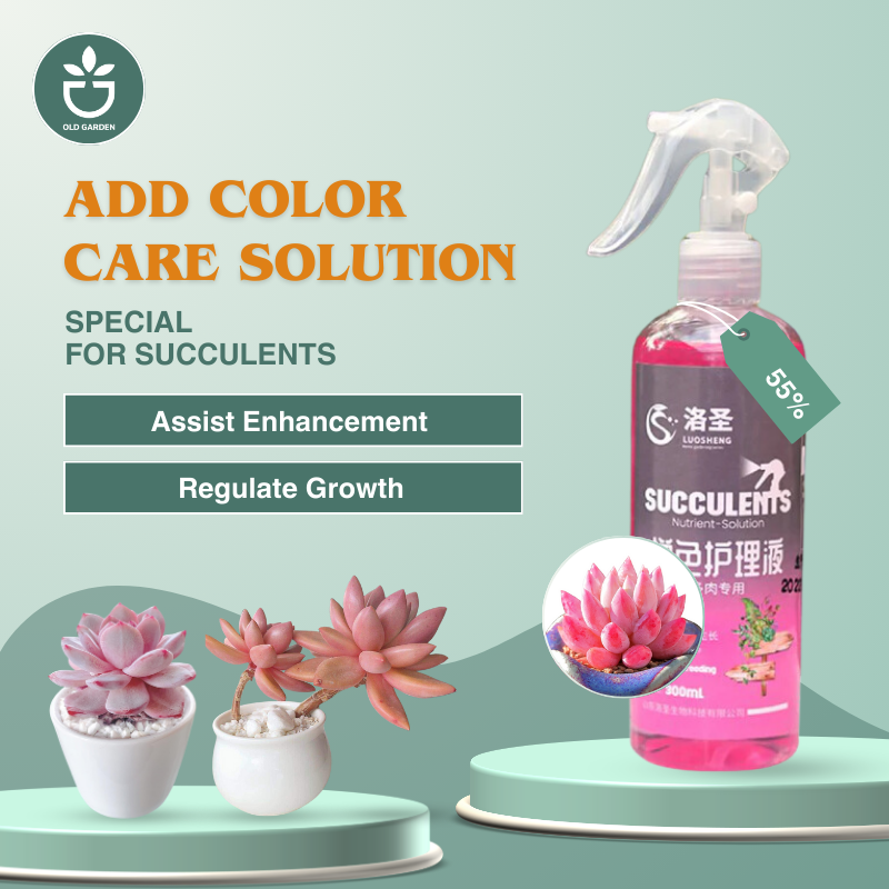 Color-enhancing care solution