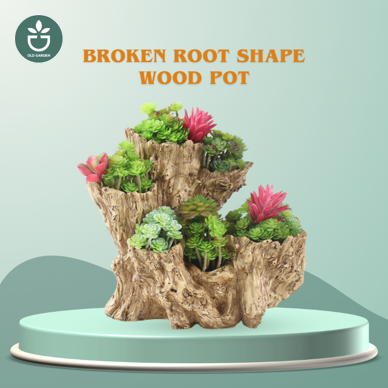 Broken Root Shape Wood Pot