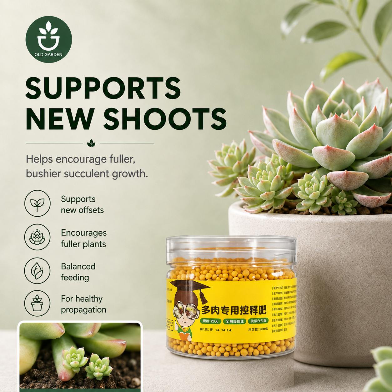 Slow-release fertilizer