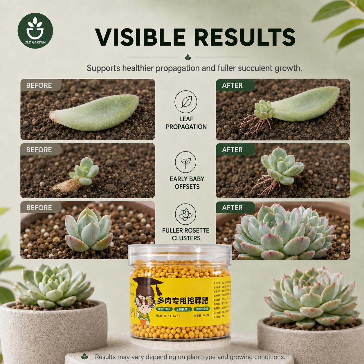 Slow-release fertilizer
