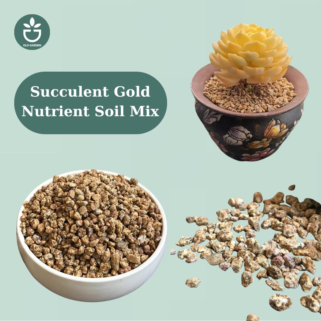 Succulent Gold Nutrient Soil Mix