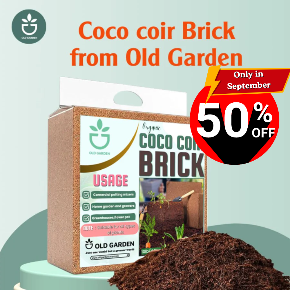 Coco coir brick from Old Garden