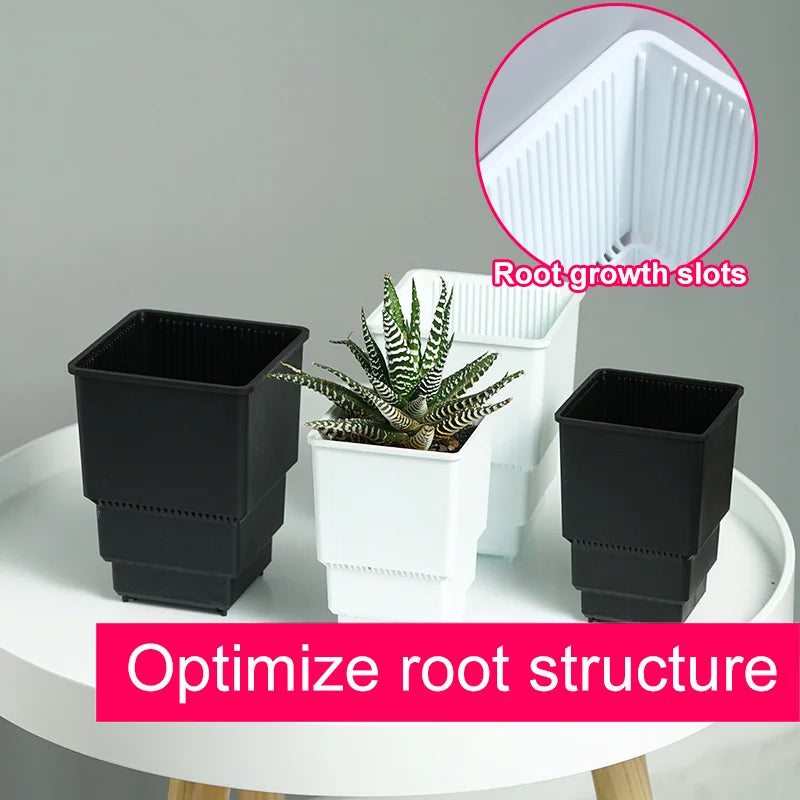 Succulent Cactus Planter – Excellent Drainage