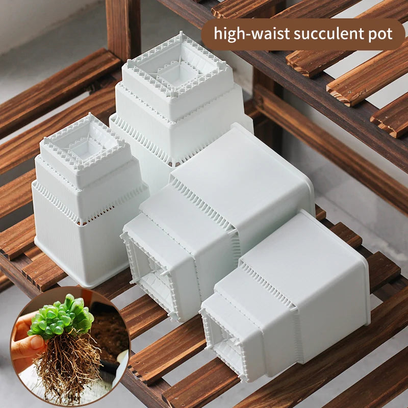 succulent planter with drainage Succulent Cactus Planter – Excellent Drainage 8 cm White / 3 pcs
