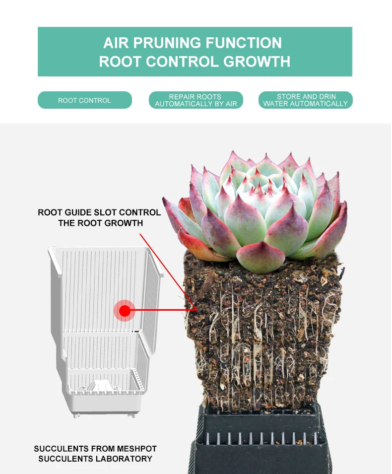 Succulent Cactus Planter – Excellent Drainage