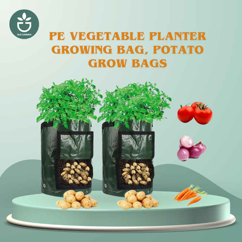 PE Vegetable Planter Growing Bag, Potato Grow Bags