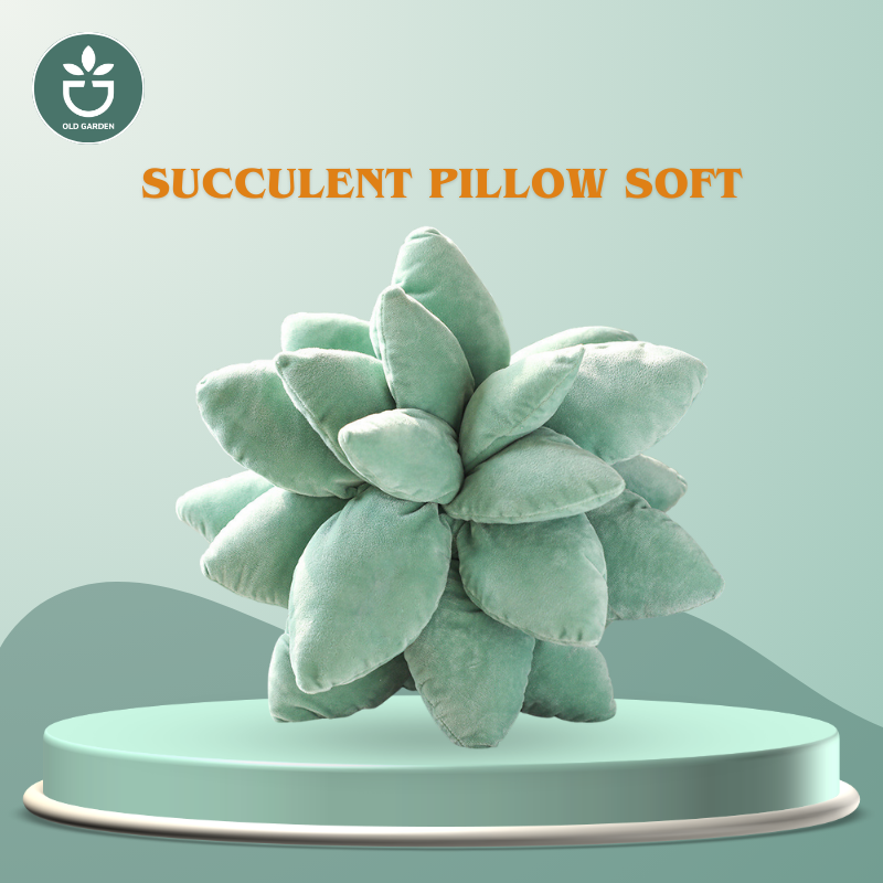 Succulent Pillow Soft