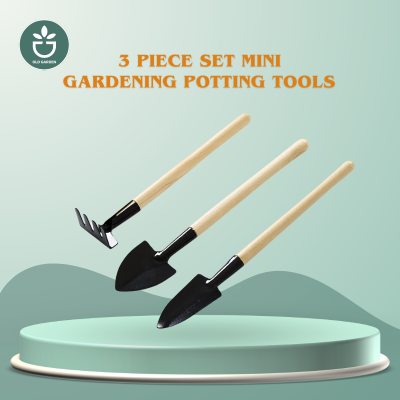 3 Piece Set Mini Gardening Potting Tools Wooden Handle