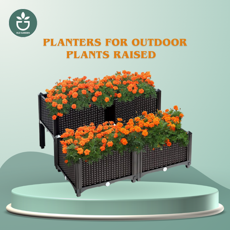 Planters for Outdoor Plants Raised