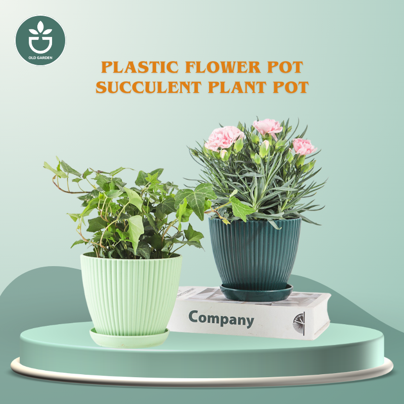 Plastic Flower Pot Succulent Plant Pot
