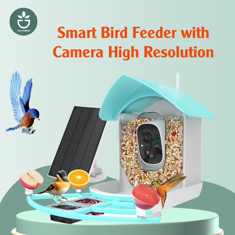 Smart Bird Feeder with Camera High Resolution