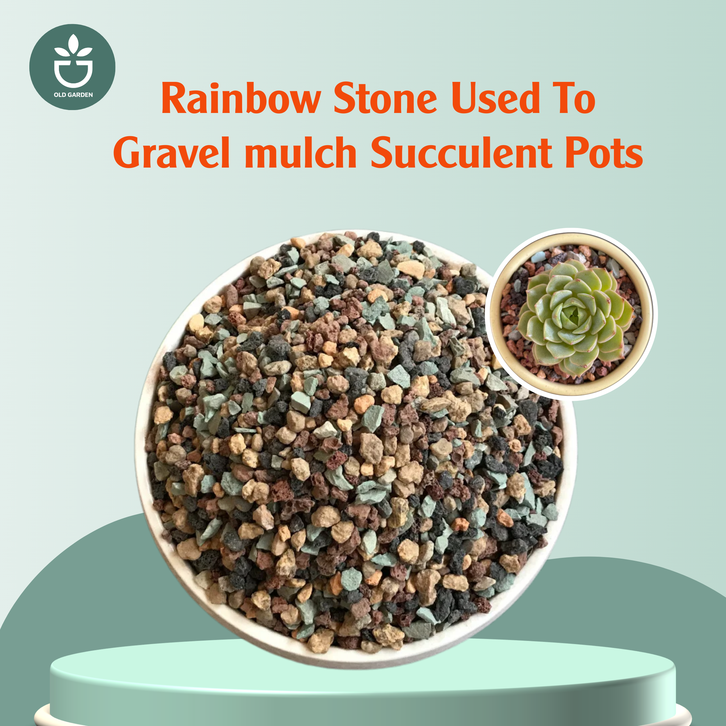 Rainbow Stone Used To Gravel mulch Succulent Pots