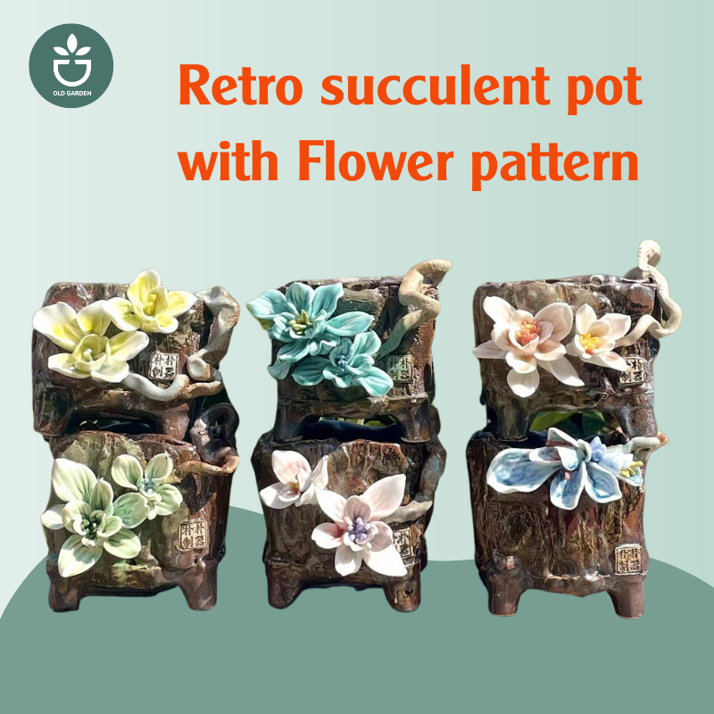 Retro succulent pot with Flower pattern