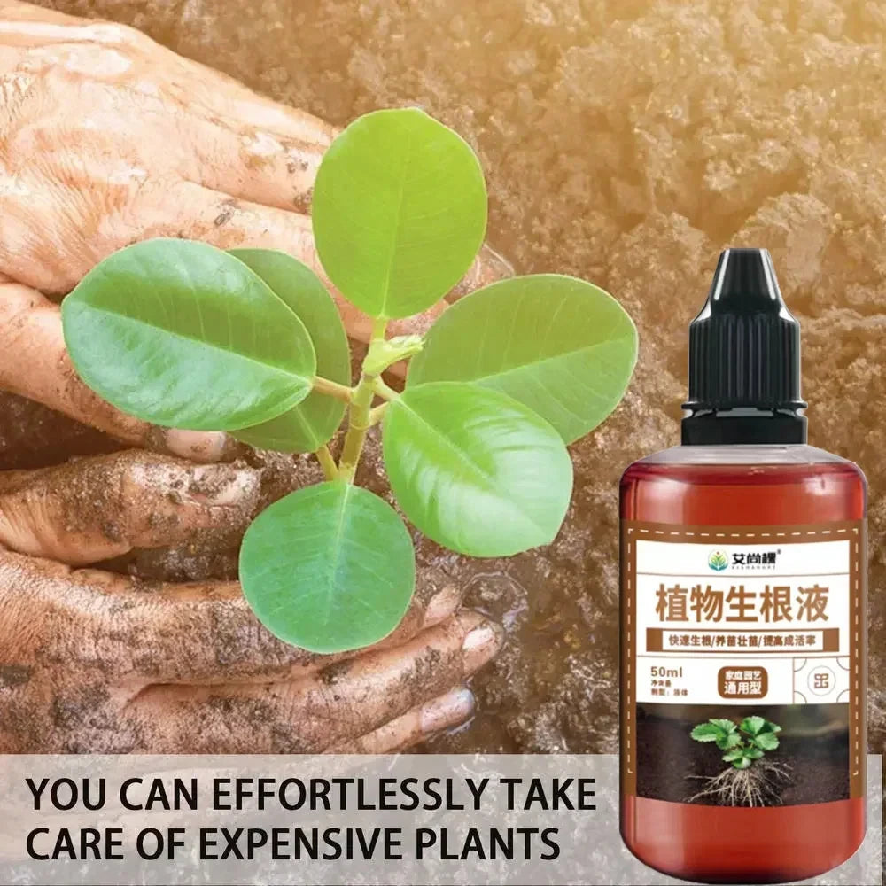 Fast Rooting Stimulator Plant