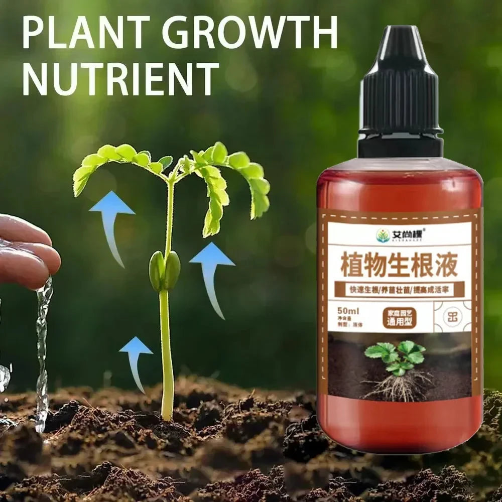 Fast Rooting Stimulator Plant