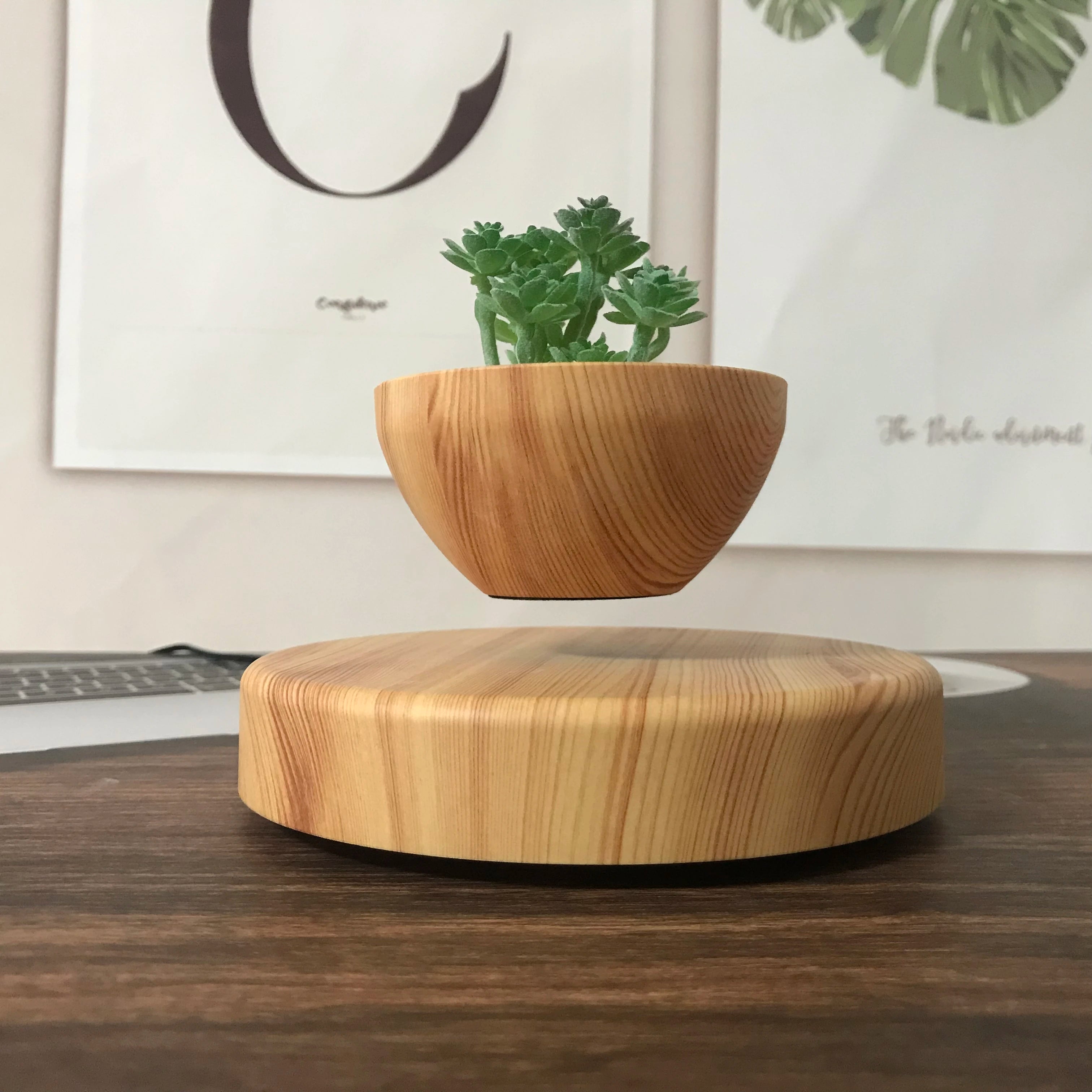 Levitating bonsai pot