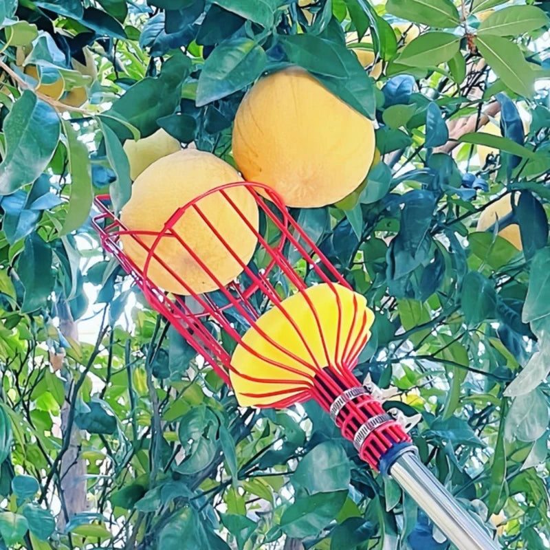 Deep Basket Fruit Picker Head