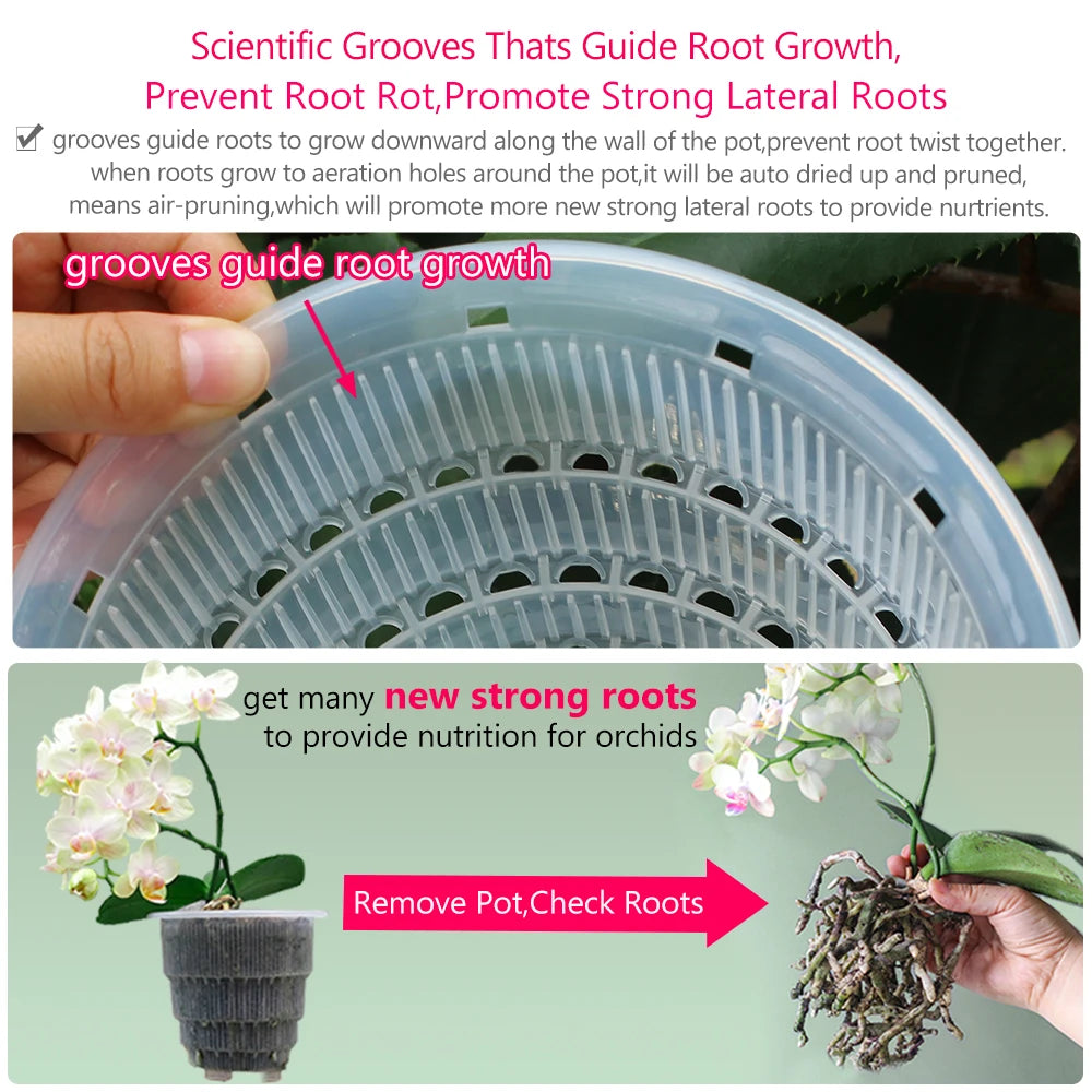 see through plastic plant pots Clear Orchid Pots with Holes and Saucers 3 Pcs 12cm