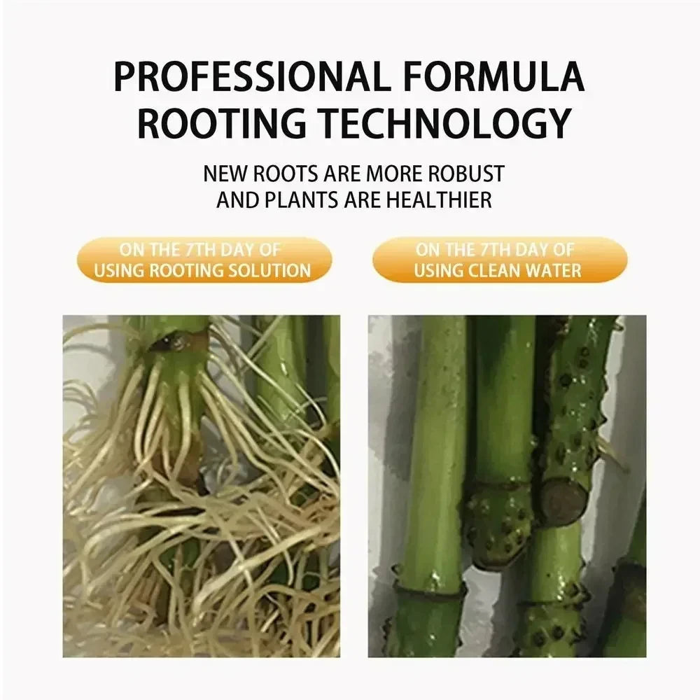 Fast Rooting Stimulator Plant