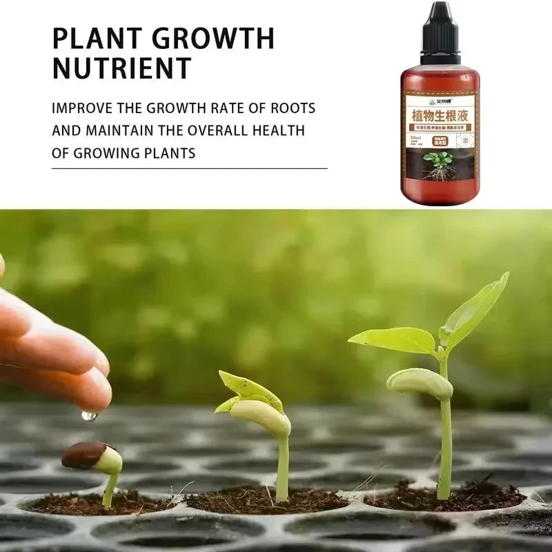 Fast Rooting Stimulator Plant