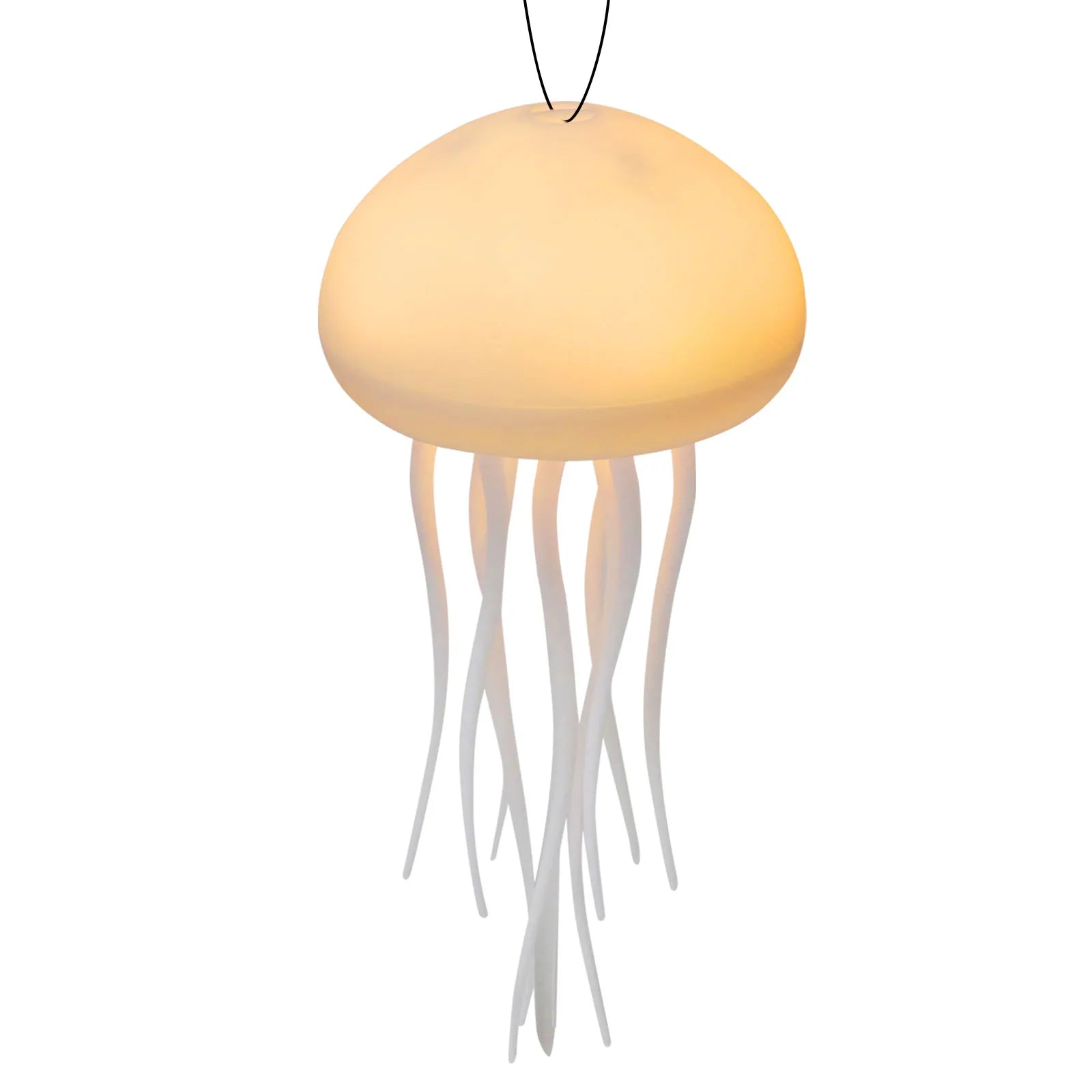 The jellyfish Full -color