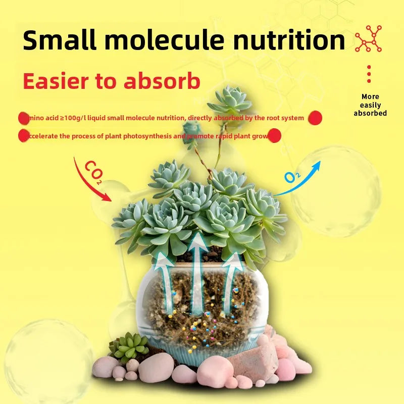 Plant Nutrients Succulent Specific Nutrient Solution