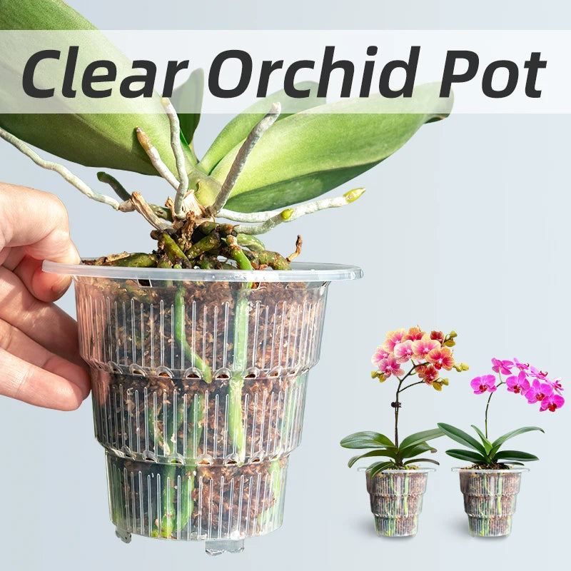 Clear Orchid Pots with Holes and Saucers