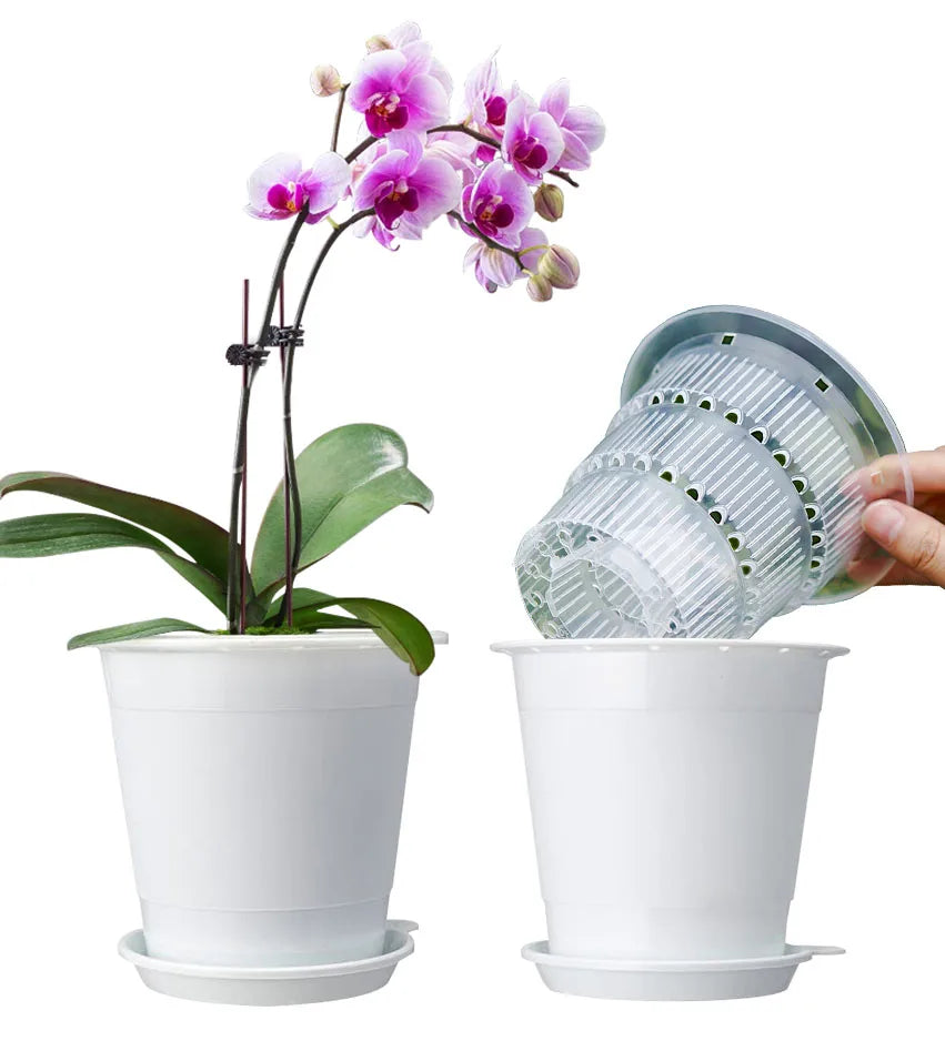 4" Clear Orchid Pots | Double Layer with Holes