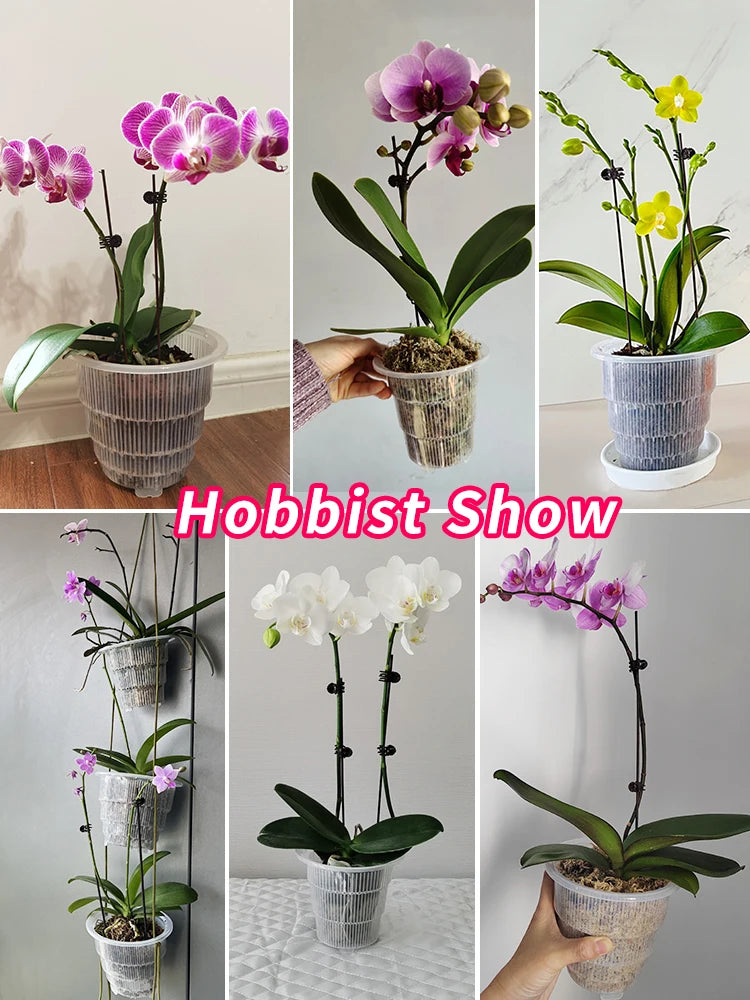 clear plant pots for orchids Clear Orchid Pots with Holes and Saucers 3 Pcs 12cm