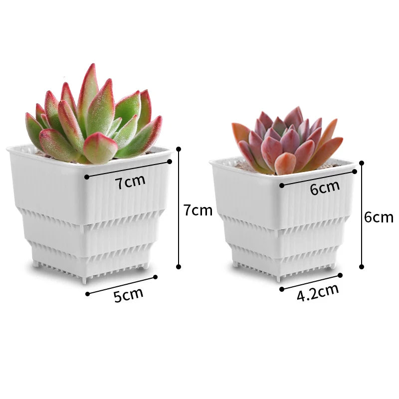 Succulent Pots | 10/20 Pack Plastic 6cm/7cm