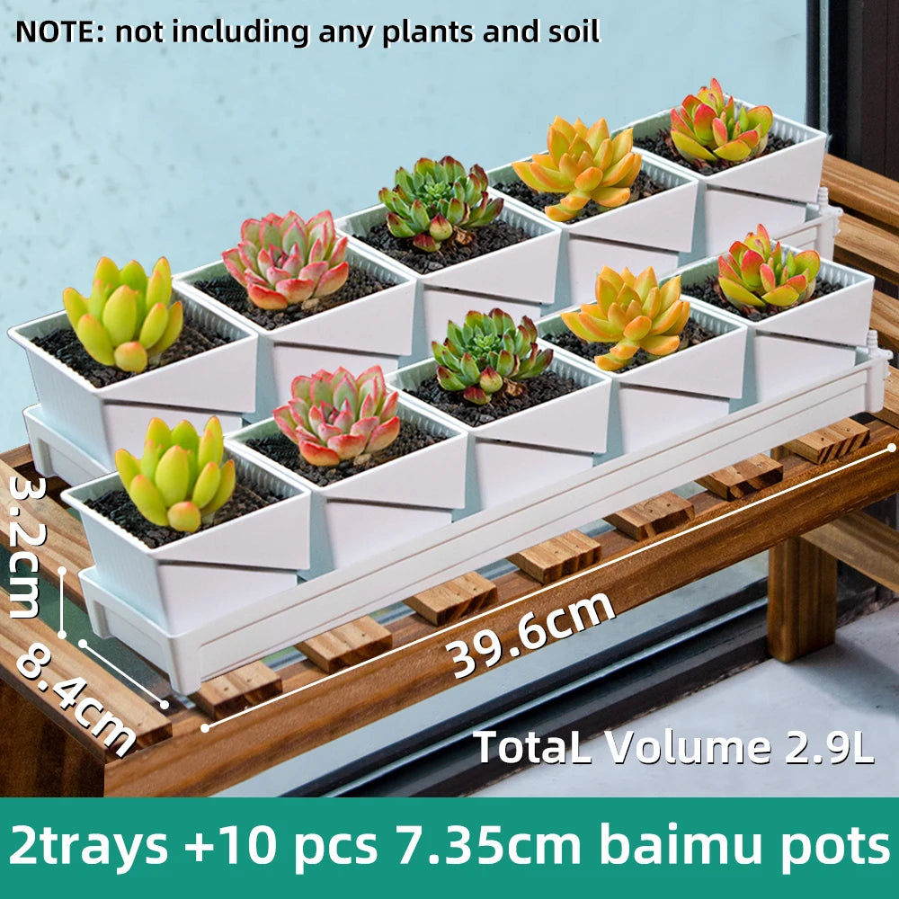 succulent pots with tray Multisize Nursery Pots