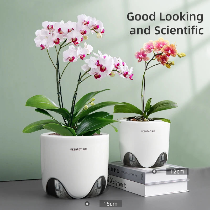 Orchid Pots | Double Layer with Holes