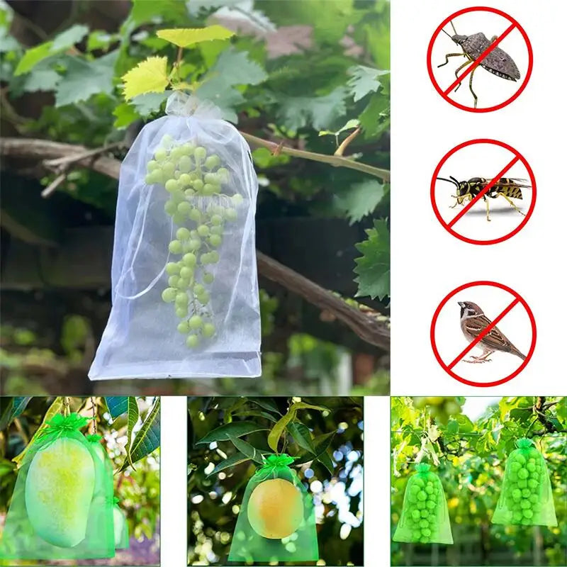 20/50/100 Bags To Protect Fruit From Insects