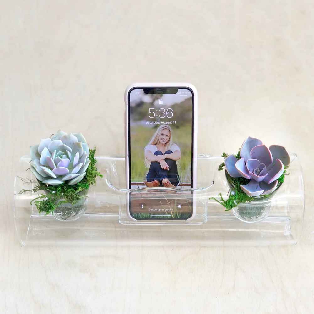 Succulent Planter & Mobile Phone Holder
