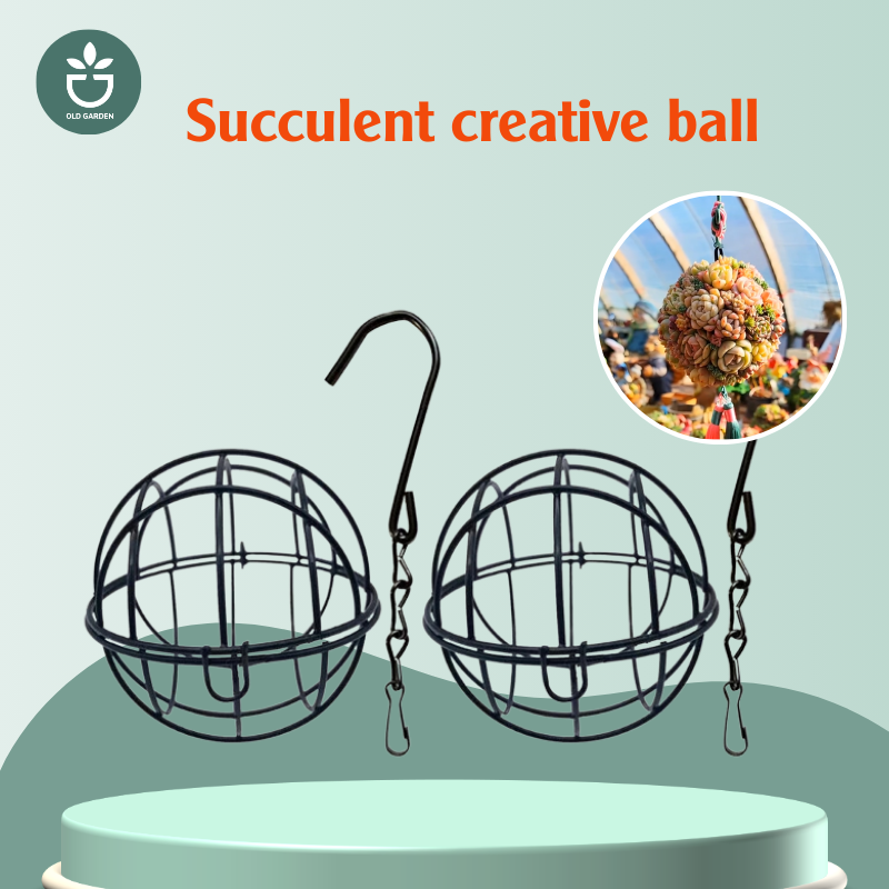 succulent hanging basket ball Succulent creative ball
